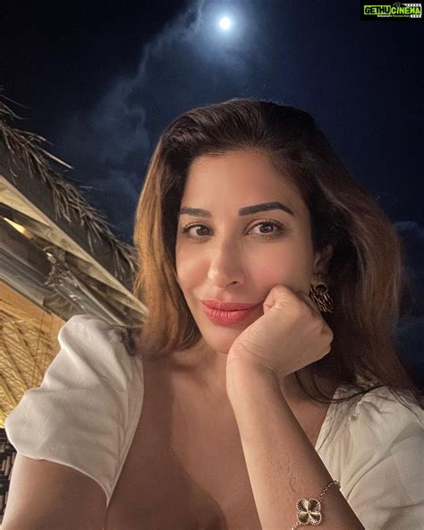 sophie choudry instagram|Sophie Choudry birthday: Top 10 Instagram pictures of the